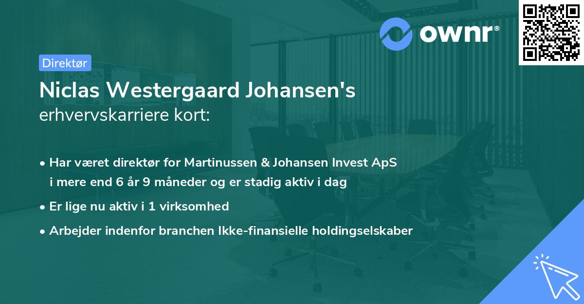 Niclas Westergaard Johansen's erhvervskarriere kort