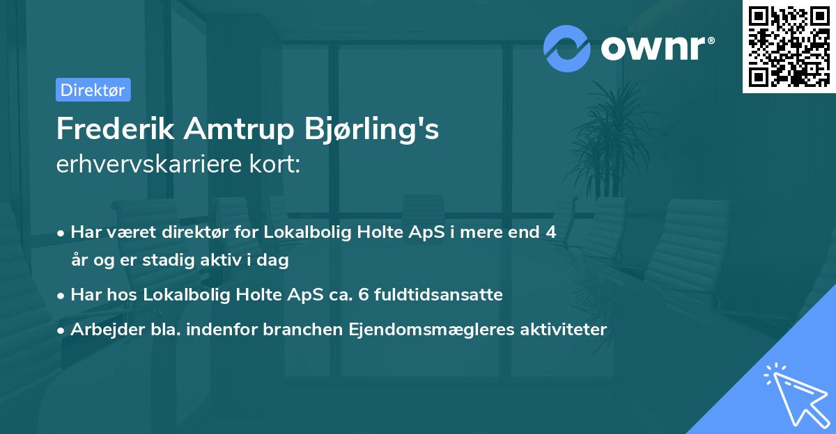 Frederik Amtrup Bjørling's erhvervskarriere kort