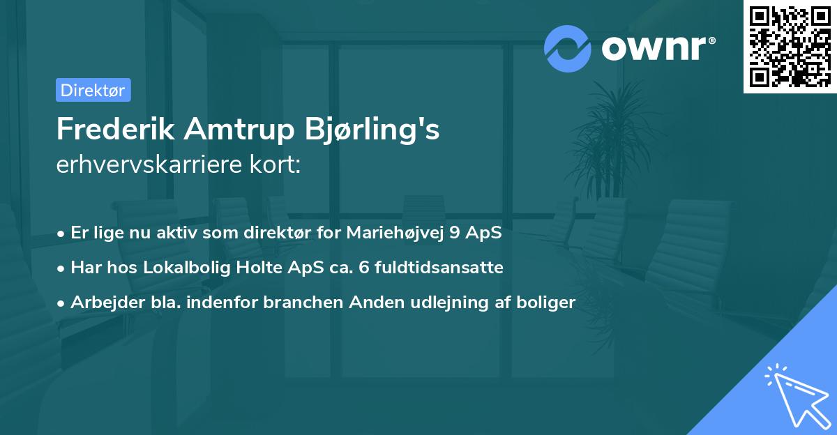 Frederik Amtrup Bjørling's erhvervskarriere kort