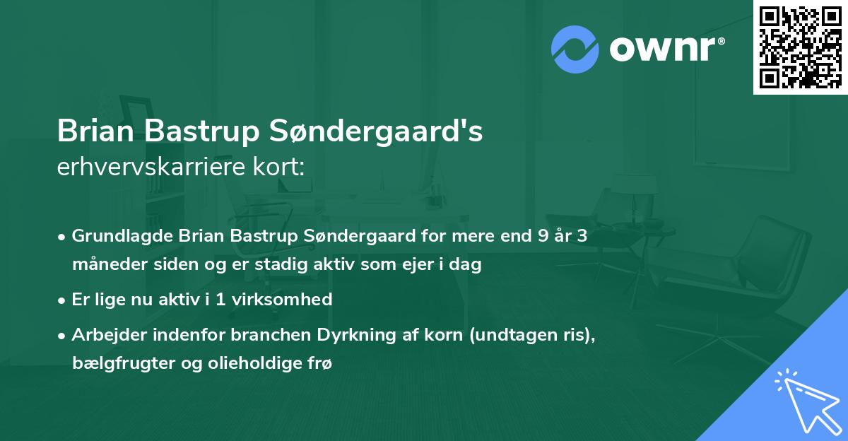 Brian Bastrup Søndergaard's erhvervskarriere kort