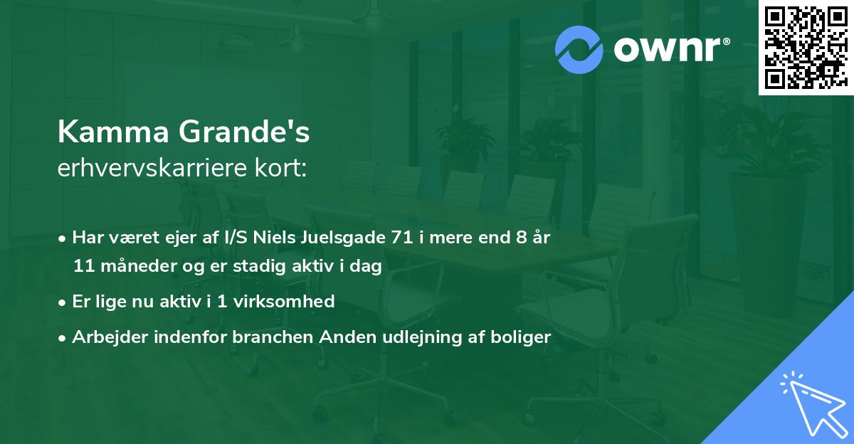 Kamma Grande's erhvervskarriere kort