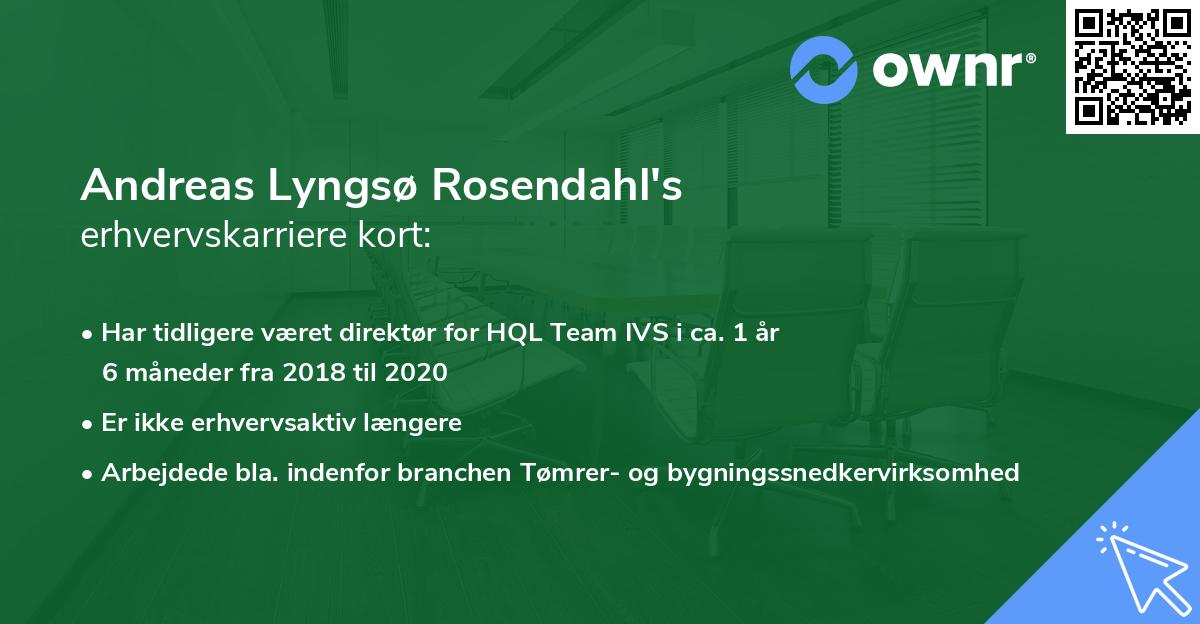 Andreas Lyngsø Rosendahl's erhvervskarriere kort