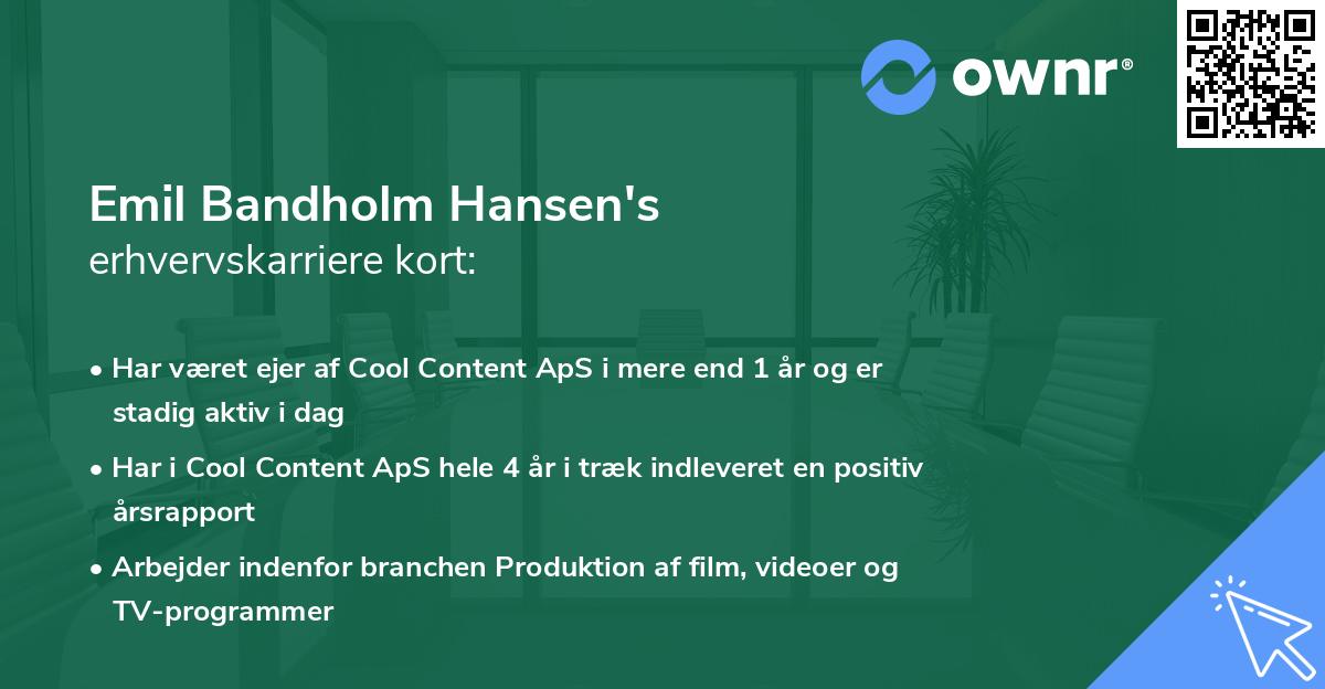 Emil Bandholm Hansen's erhvervskarriere kort