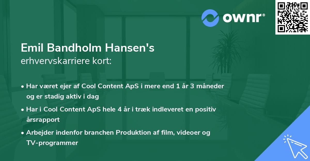 Emil Bandholm Hansen's erhvervskarriere kort