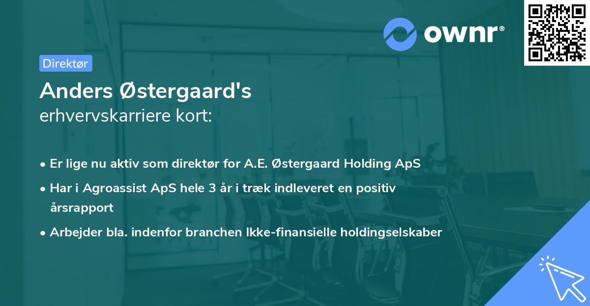 Anders Østergaard's erhvervskarriere kort