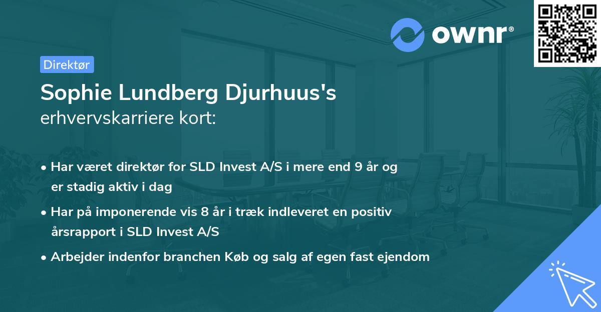 Sophie Lundberg Djurhuus's erhvervskarriere kort