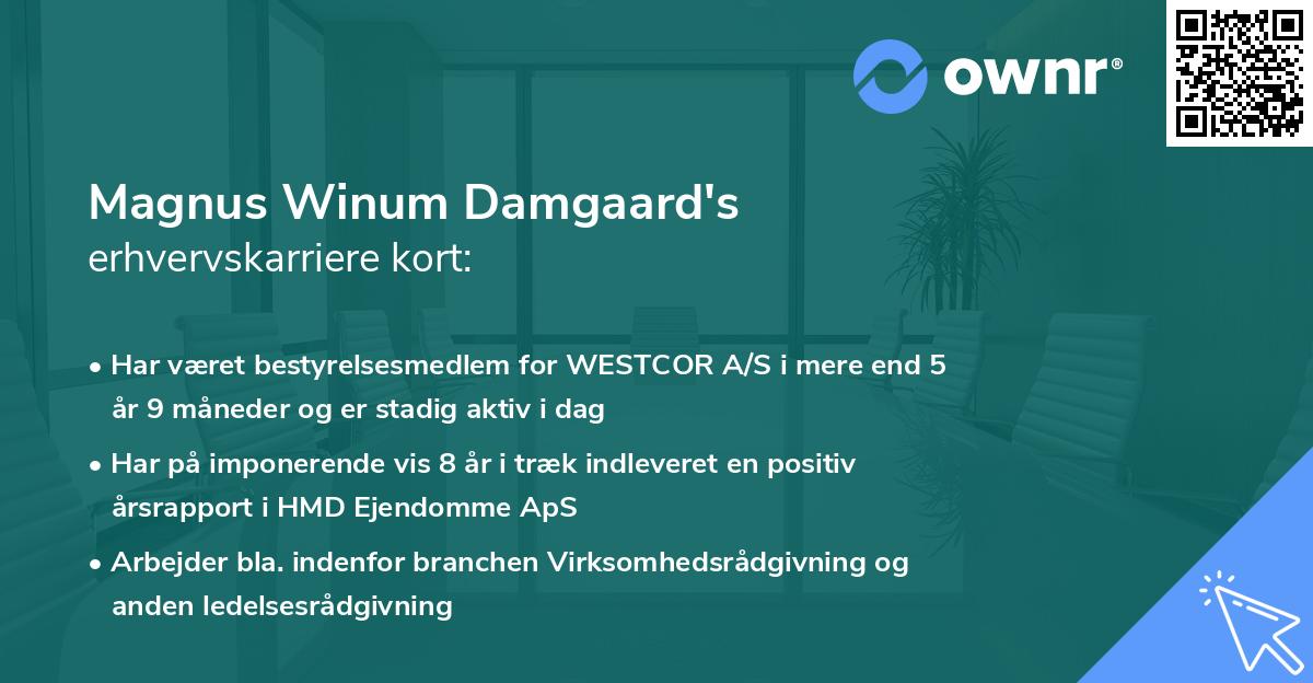 Magnus Winum Damgaard's erhvervskarriere kort