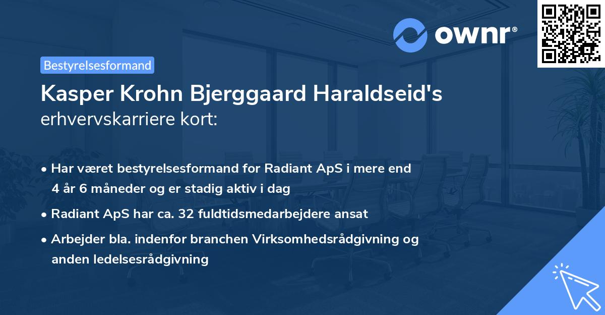 Kasper Krohn Bjerggaard Haraldseid's erhvervskarriere kort