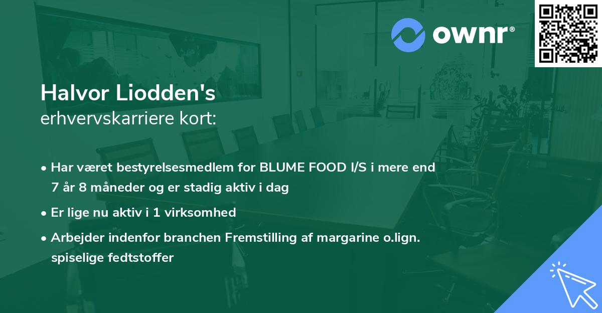 Halvor Liodden's erhvervskarriere kort