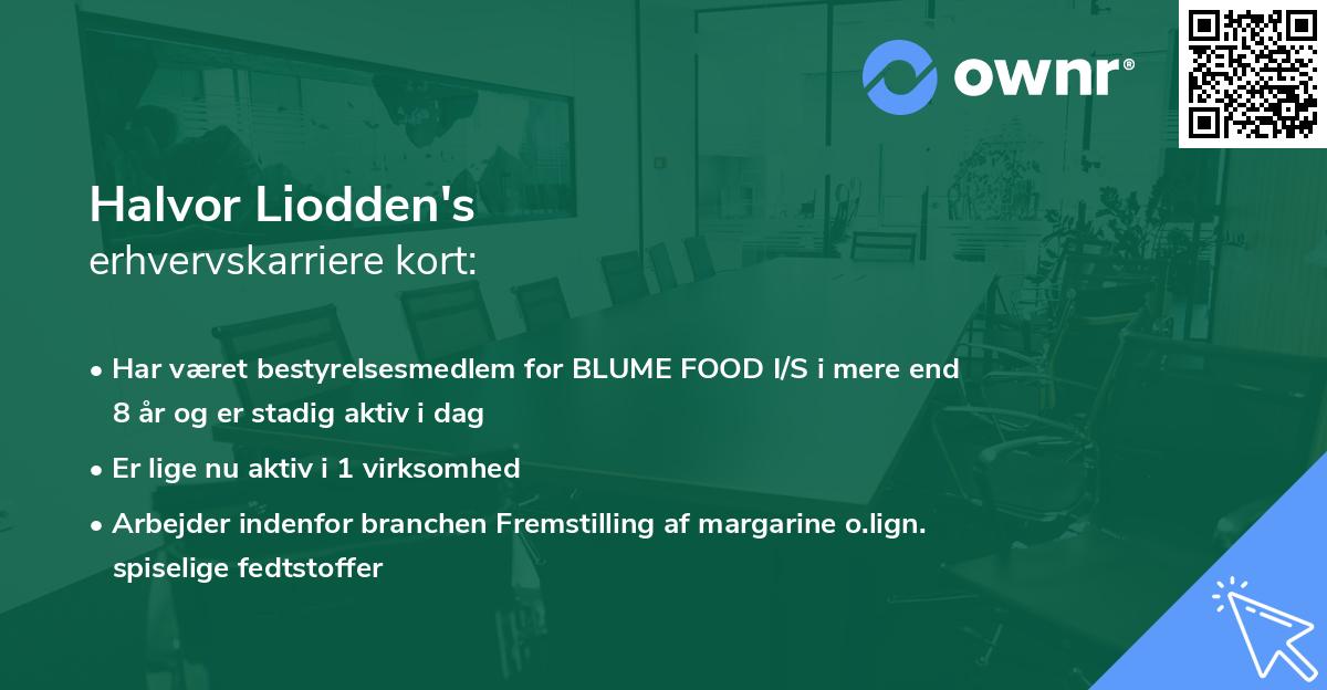 Halvor Liodden's erhvervskarriere kort