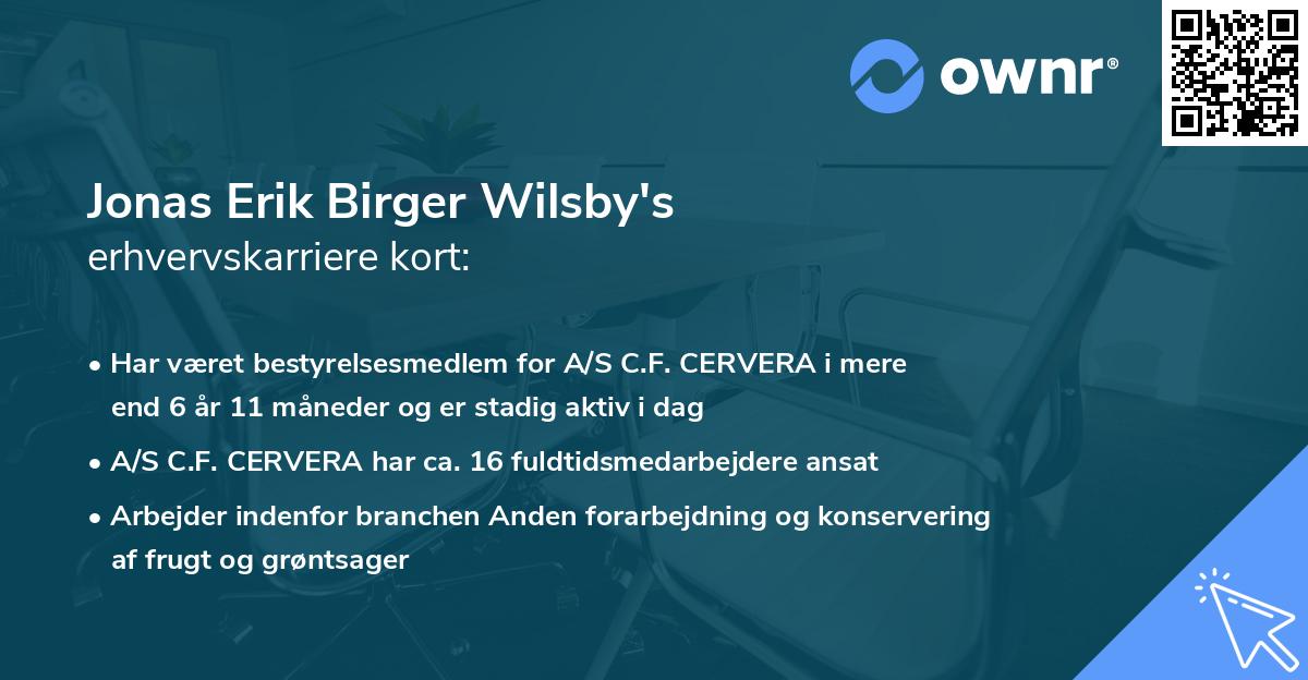 Jonas Erik Birger Wilsby's erhvervskarriere kort