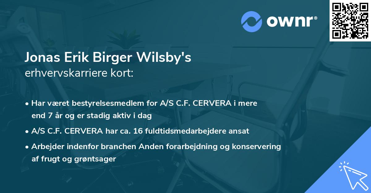 Jonas Erik Birger Wilsby's erhvervskarriere kort