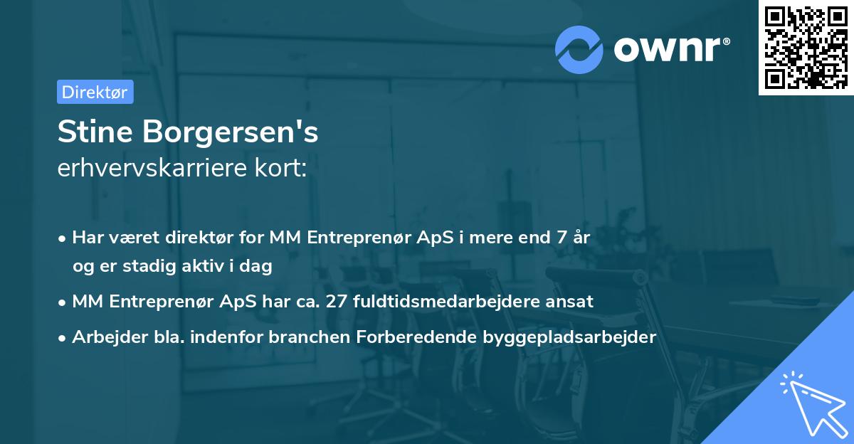 Stine Borgersen's erhvervskarriere kort