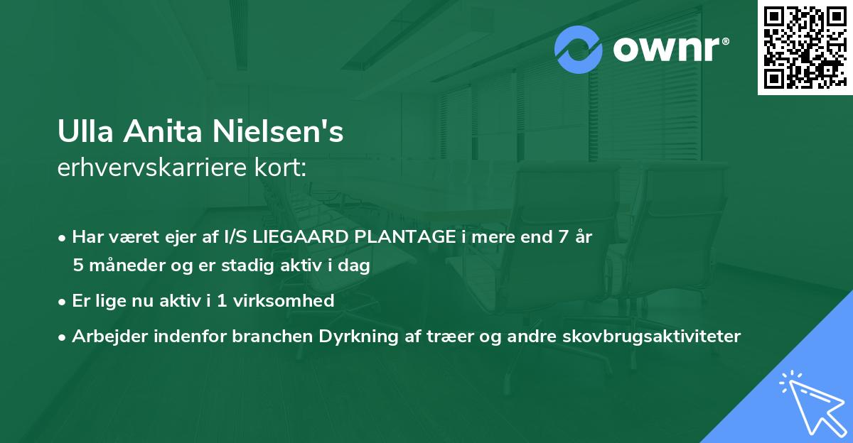 Ulla Anita Nielsen's erhvervskarriere kort