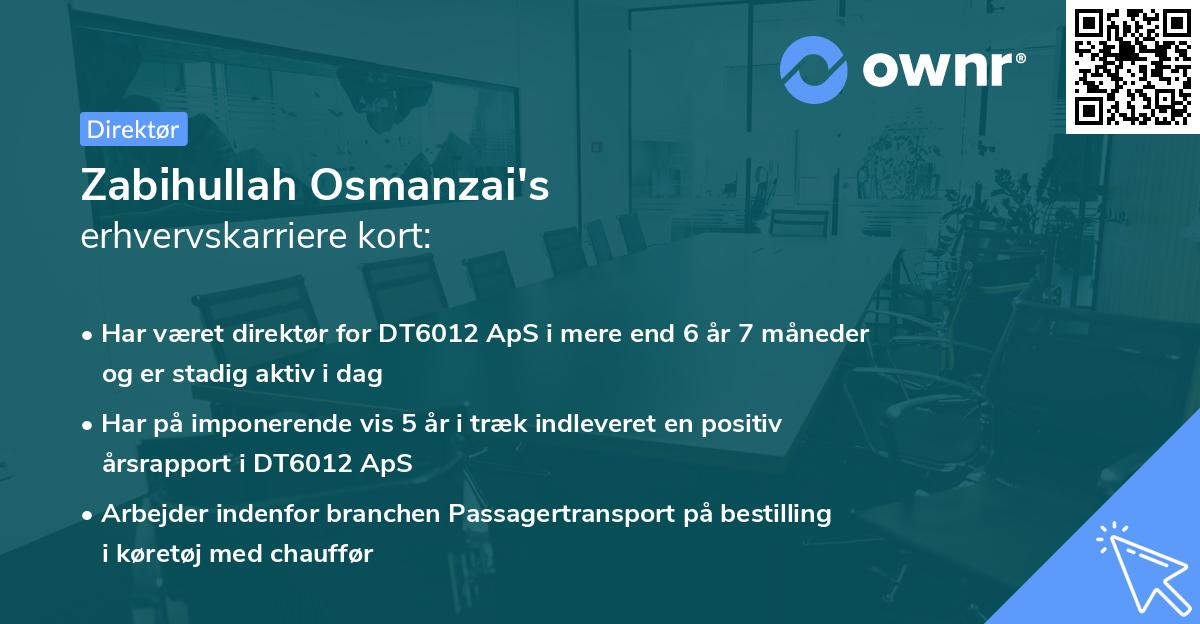 Zabihullah Osmanzai's erhvervskarriere kort