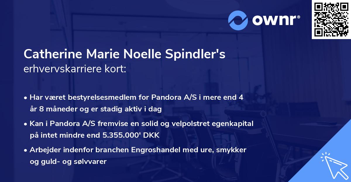 Catherine Marie Noelle Spindler's erhvervskarriere kort