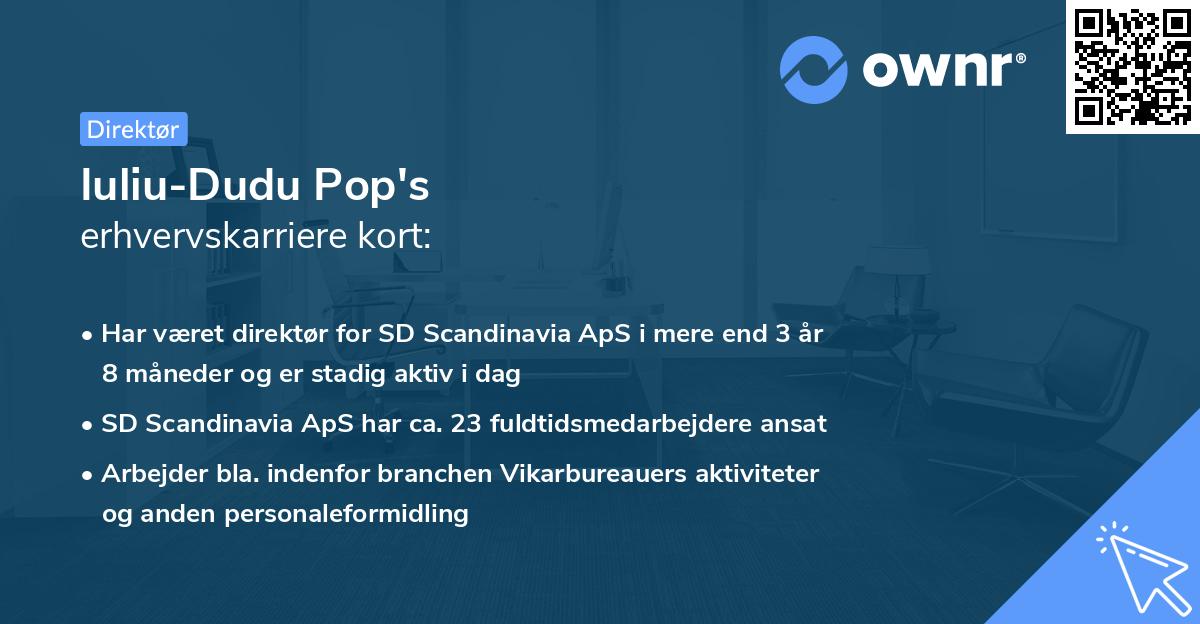 Iuliu-Dudu Pop's erhvervskarriere kort