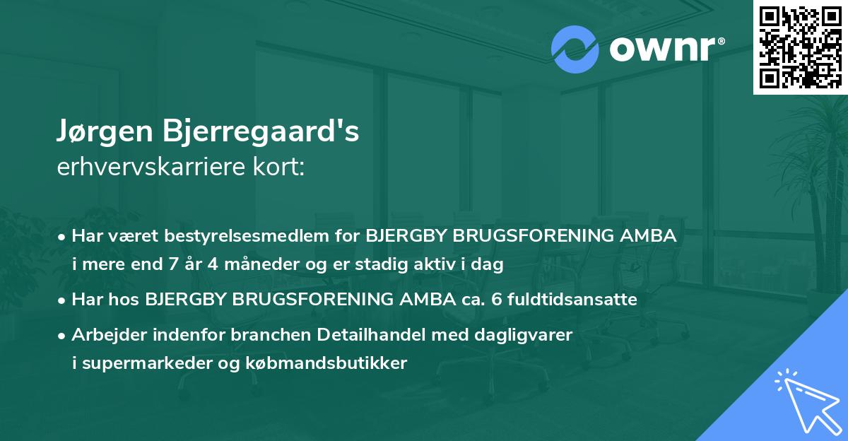 Jørgen Bjerregaard's erhvervskarriere kort