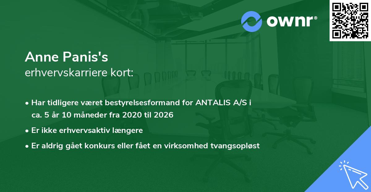 Anne Panis's erhvervskarriere kort