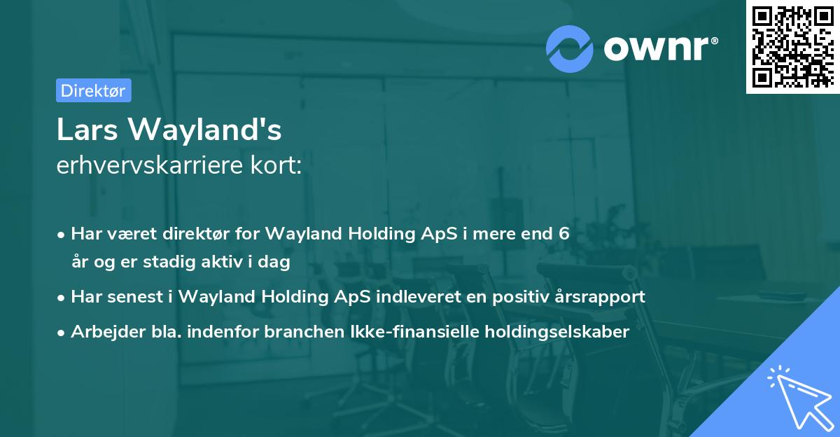 Lars Wayland's erhvervskarriere kort