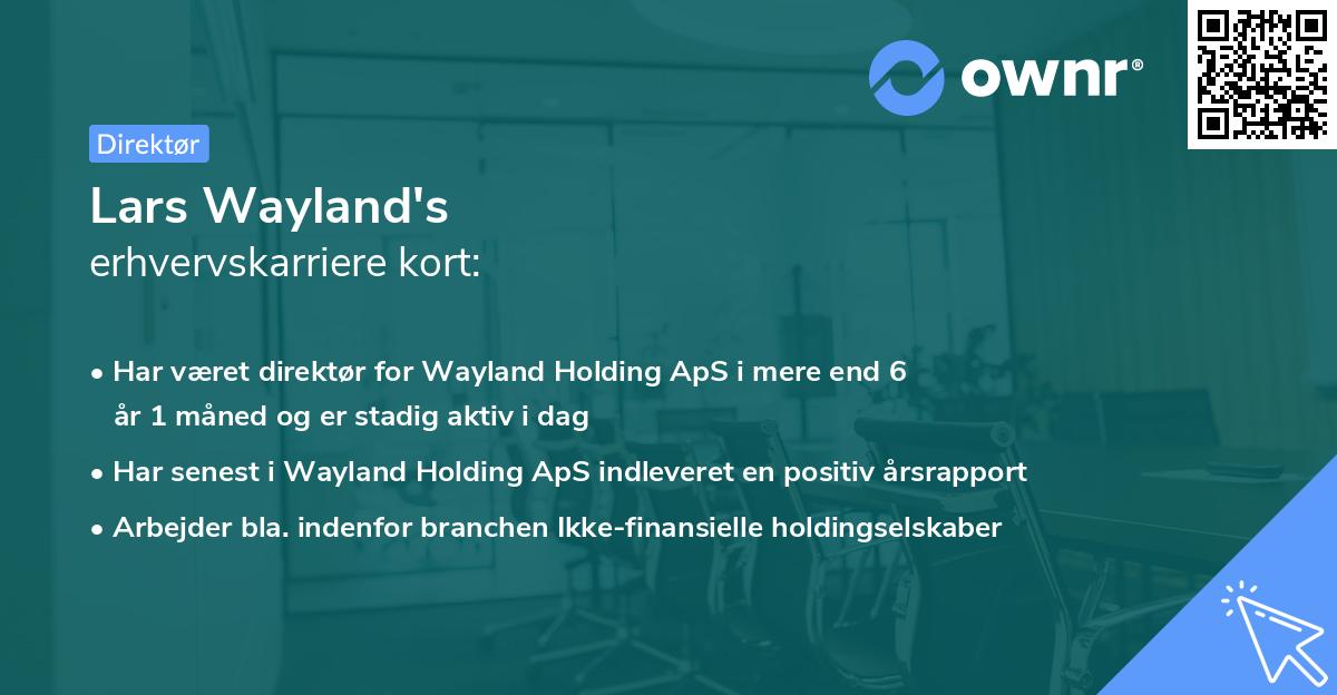 Lars Wayland's erhvervskarriere kort