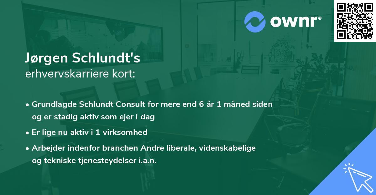 Jørgen Schlundt's erhvervskarriere kort