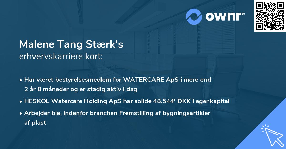 Malene Tang Stærk's erhvervskarriere kort