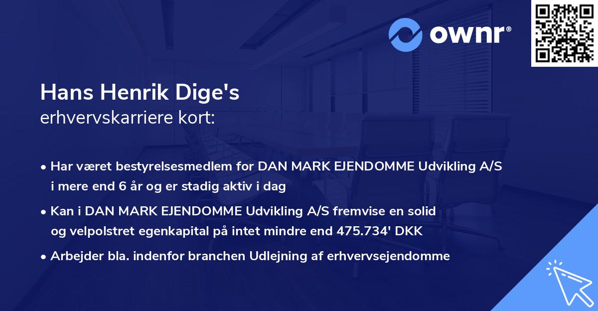 Hans Henrik Dige's erhvervskarriere kort