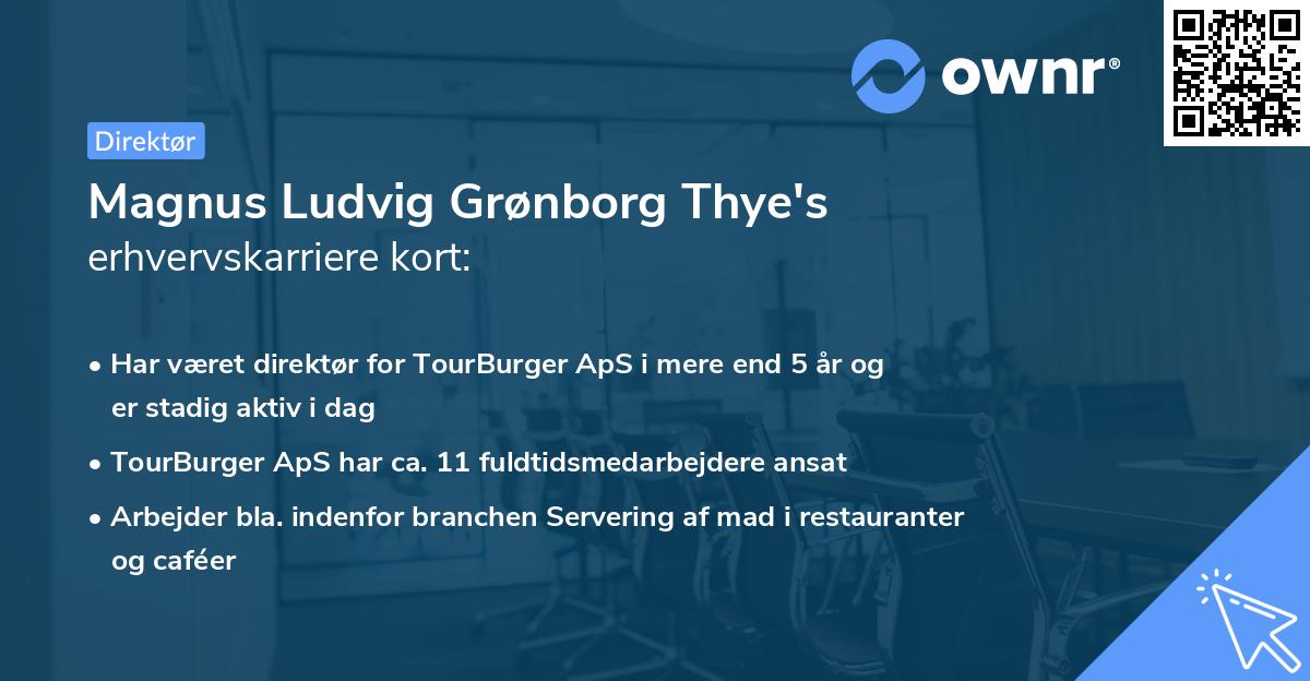 Magnus Ludvig Grønborg Thye's erhvervskarriere kort