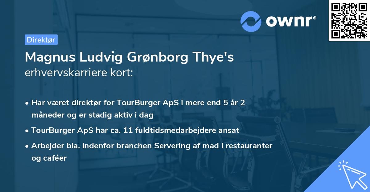 Magnus Ludvig Grønborg Thye's erhvervskarriere kort