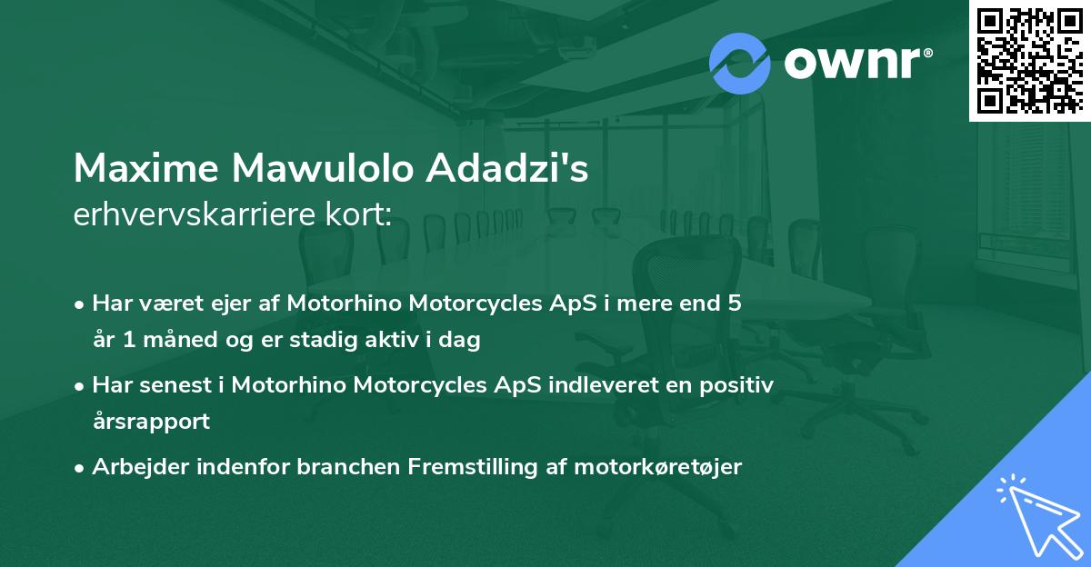 Maxime Mawulolo Adadzi's erhvervskarriere kort