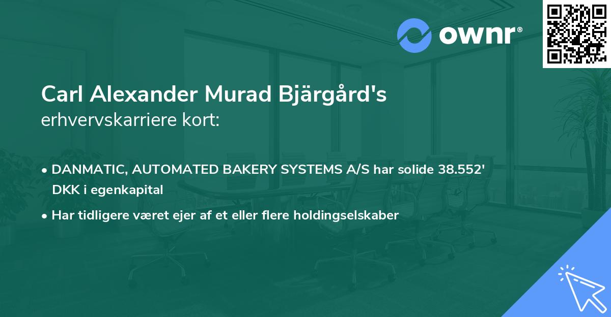 Carl Alexander Murad Bjärgård's erhvervskarriere kort
