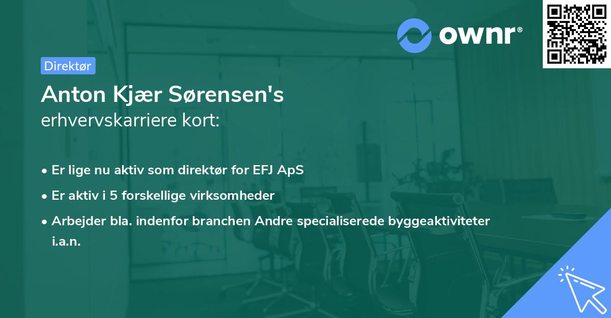 Anton Kjær Sørensen's erhvervskarriere kort