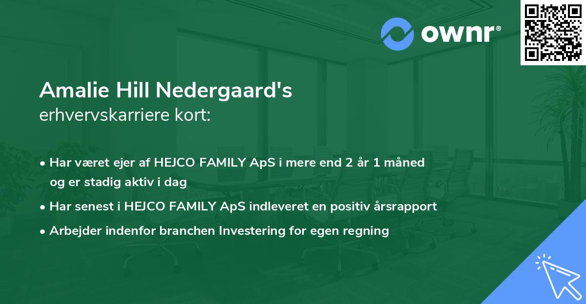 Amalie Hill Nedergaard's erhvervskarriere kort
