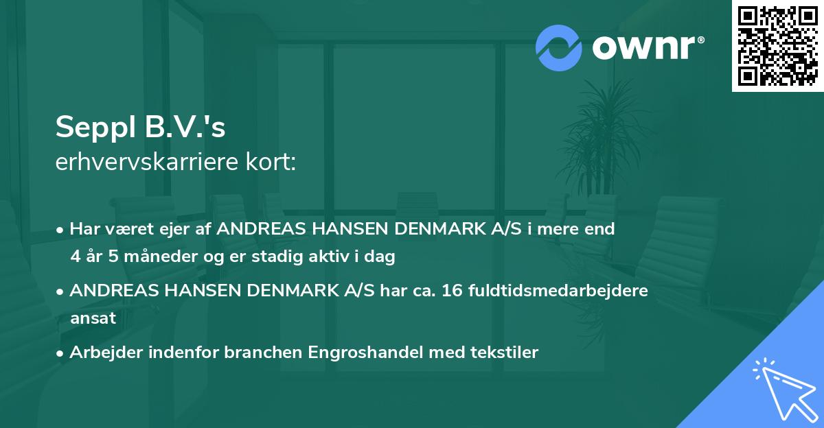 Seppl B.V.'s erhvervskarriere kort