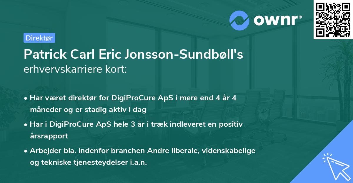 Patrick Carl Eric Jonsson-Sundbøll's erhvervskarriere kort