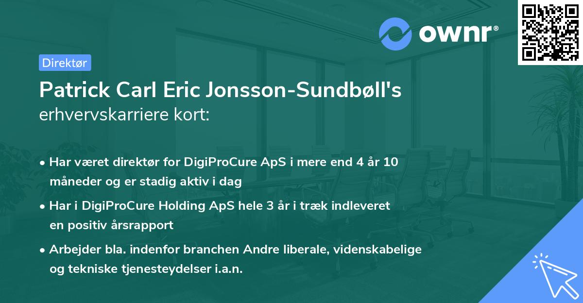 Patrick Carl Eric Jonsson-Sundbøll's erhvervskarriere kort