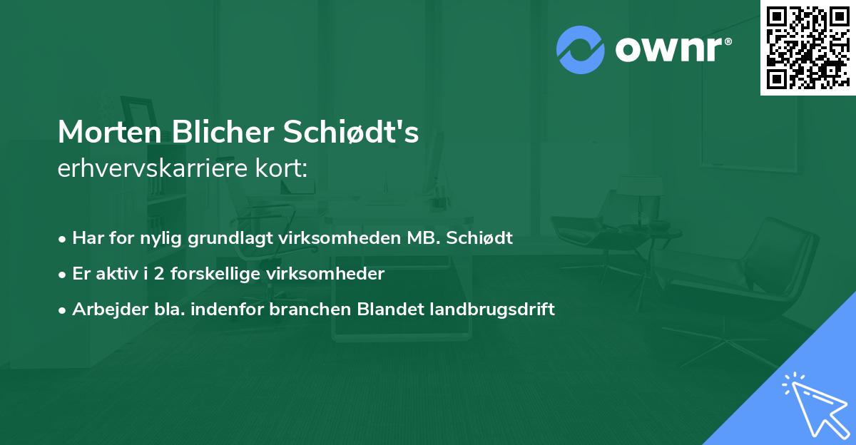 Morten Blicher Schiødt's erhvervskarriere kort