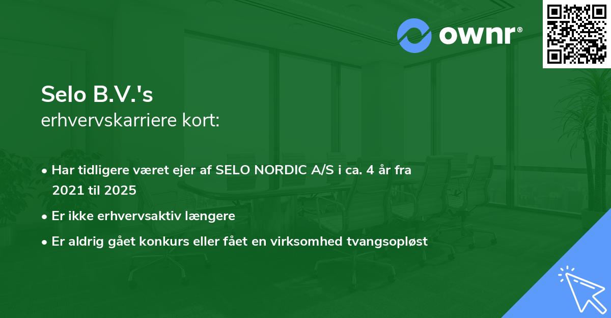 Selo B.V.'s erhvervskarriere kort
