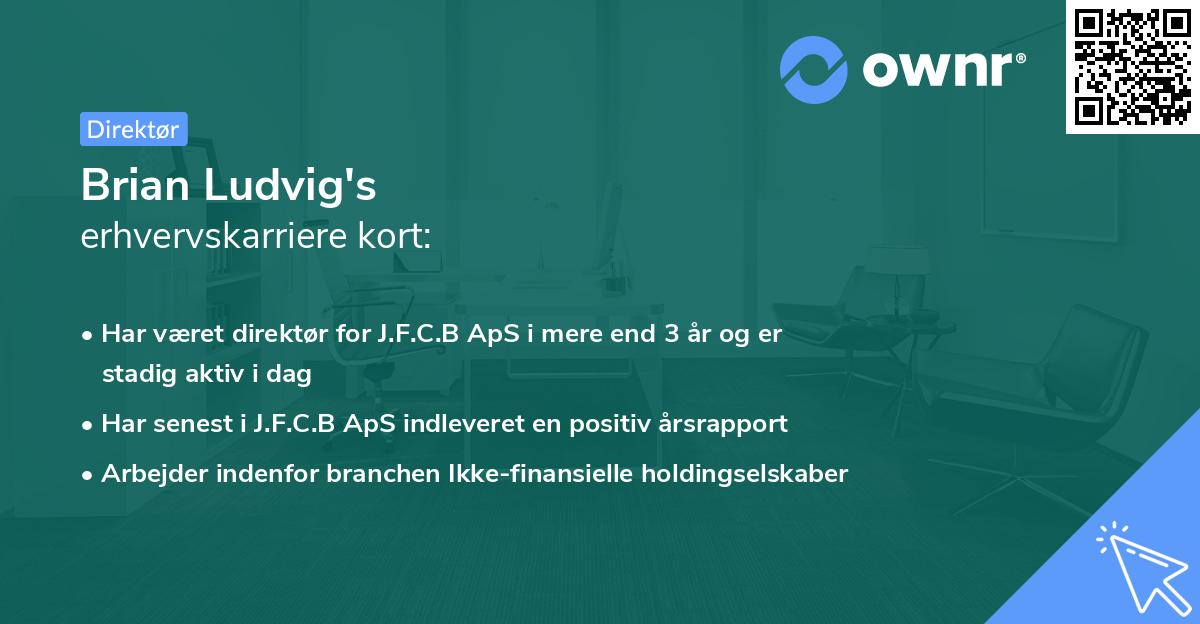 Brian Ludvig's erhvervskarriere kort