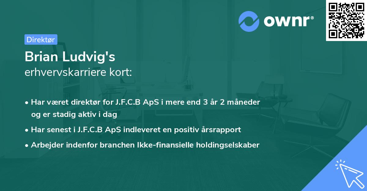 Brian Ludvig's erhvervskarriere kort
