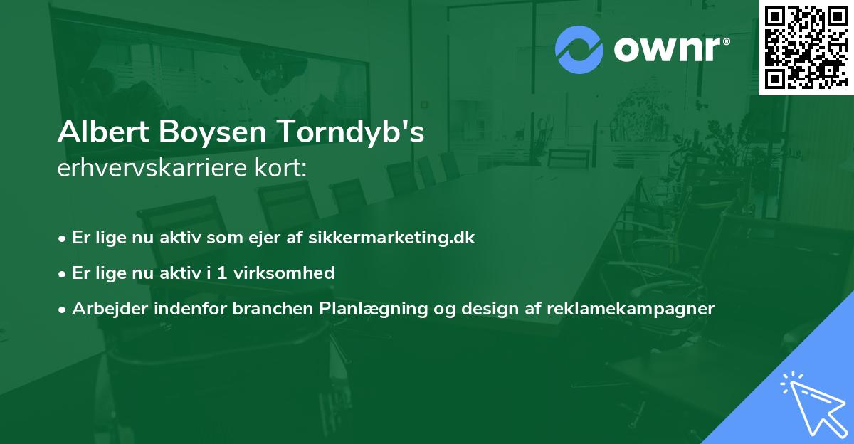 Albert Boysen Torndyb's erhvervskarriere kort