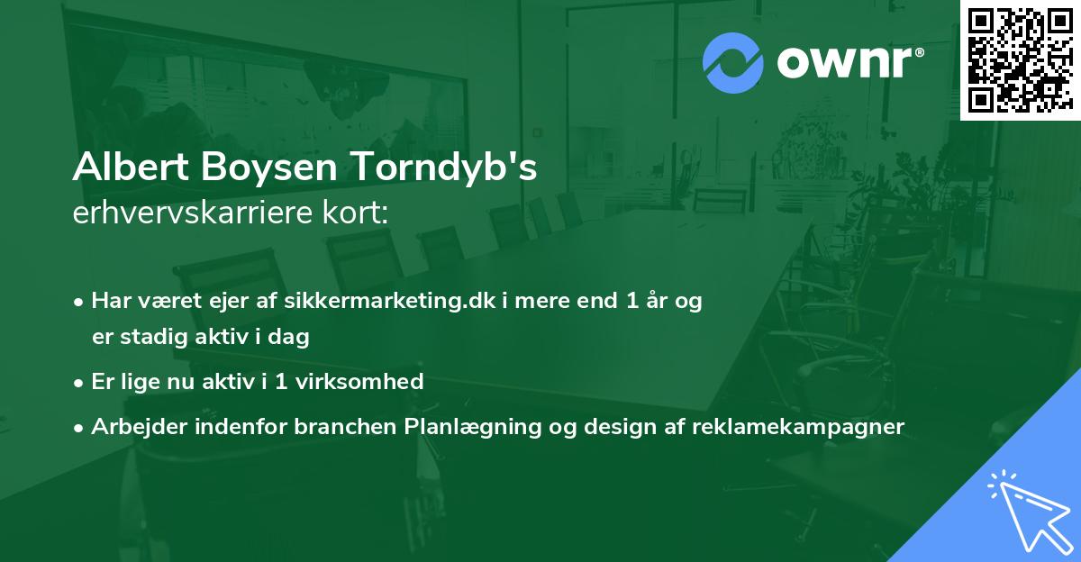 Albert Boysen Torndyb's erhvervskarriere kort
