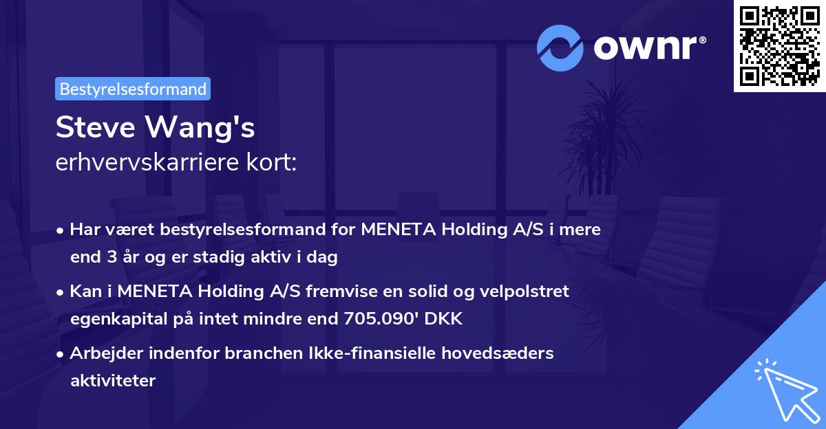 Steve Wang's erhvervskarriere kort
