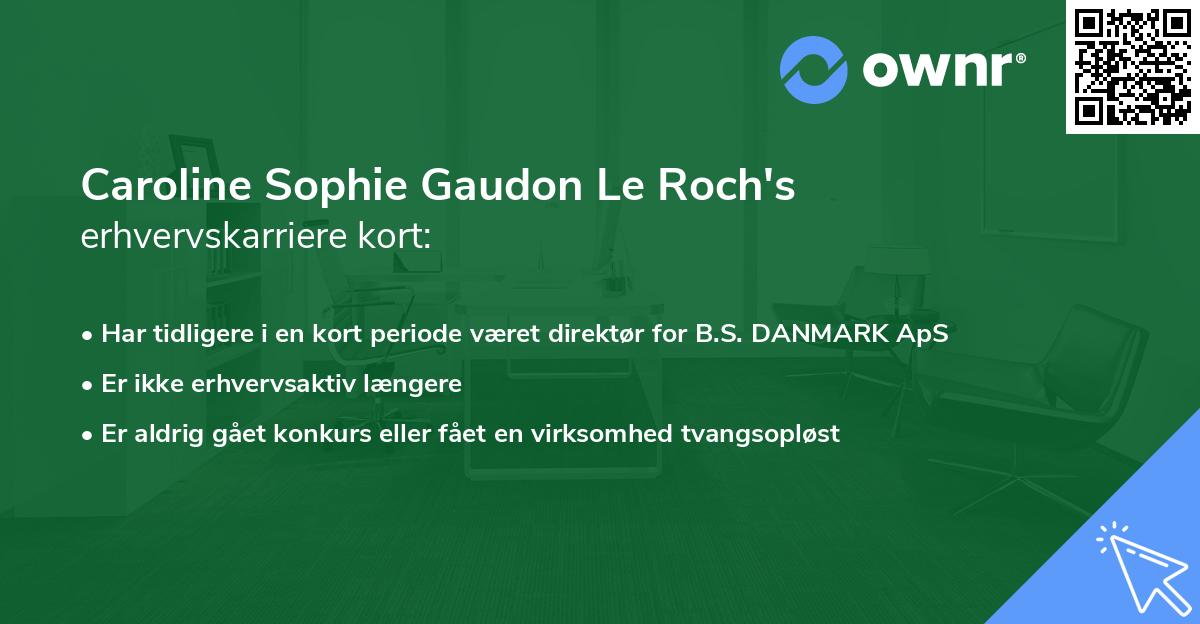 Caroline Sophie Gaudon Le Roch's erhvervskarriere kort