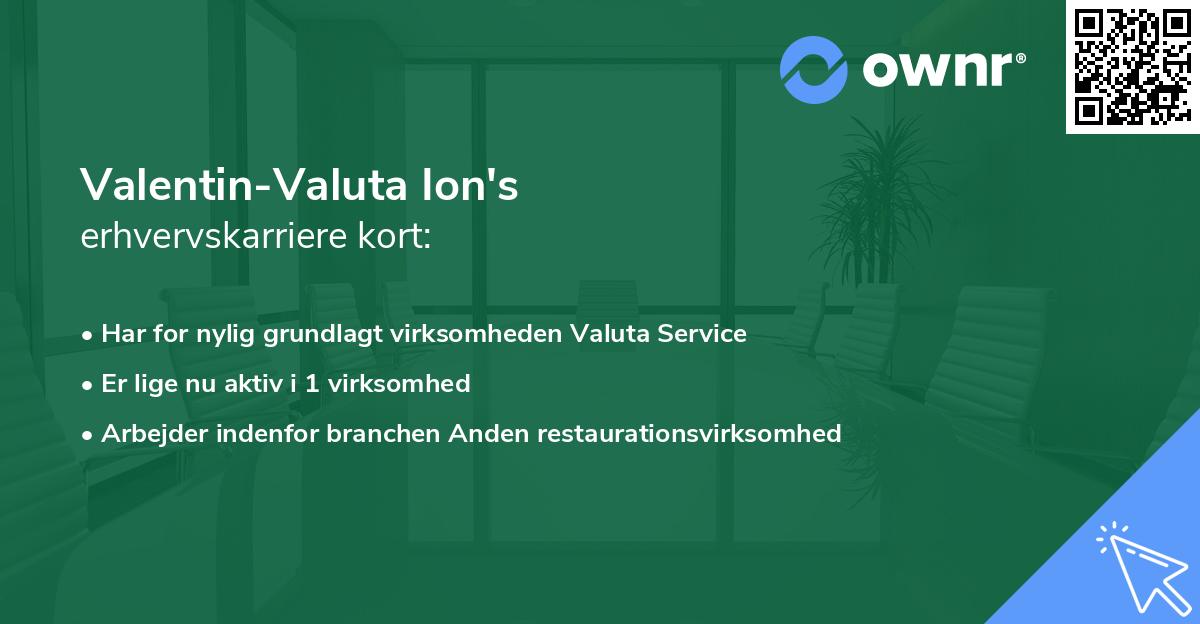 Valentin-Valuta Ion's erhvervskarriere kort