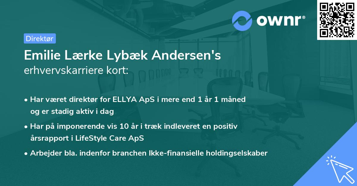 Emilie Lærke Lybæk Andersen's erhvervskarriere kort