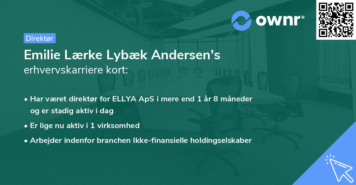 Emilie Lærke Lybæk Andersen's erhvervskarriere kort