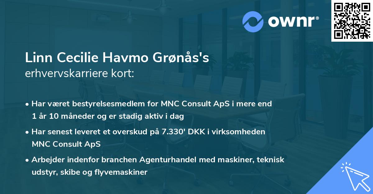 Linn Cecilie Havmo Grønås's erhvervskarriere kort