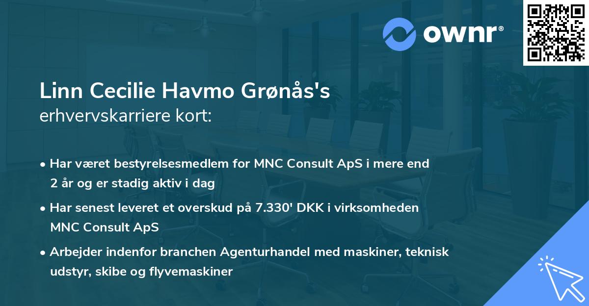 Linn Cecilie Havmo Grønås's erhvervskarriere kort